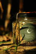 Lion's Mane Spiced Black Tea