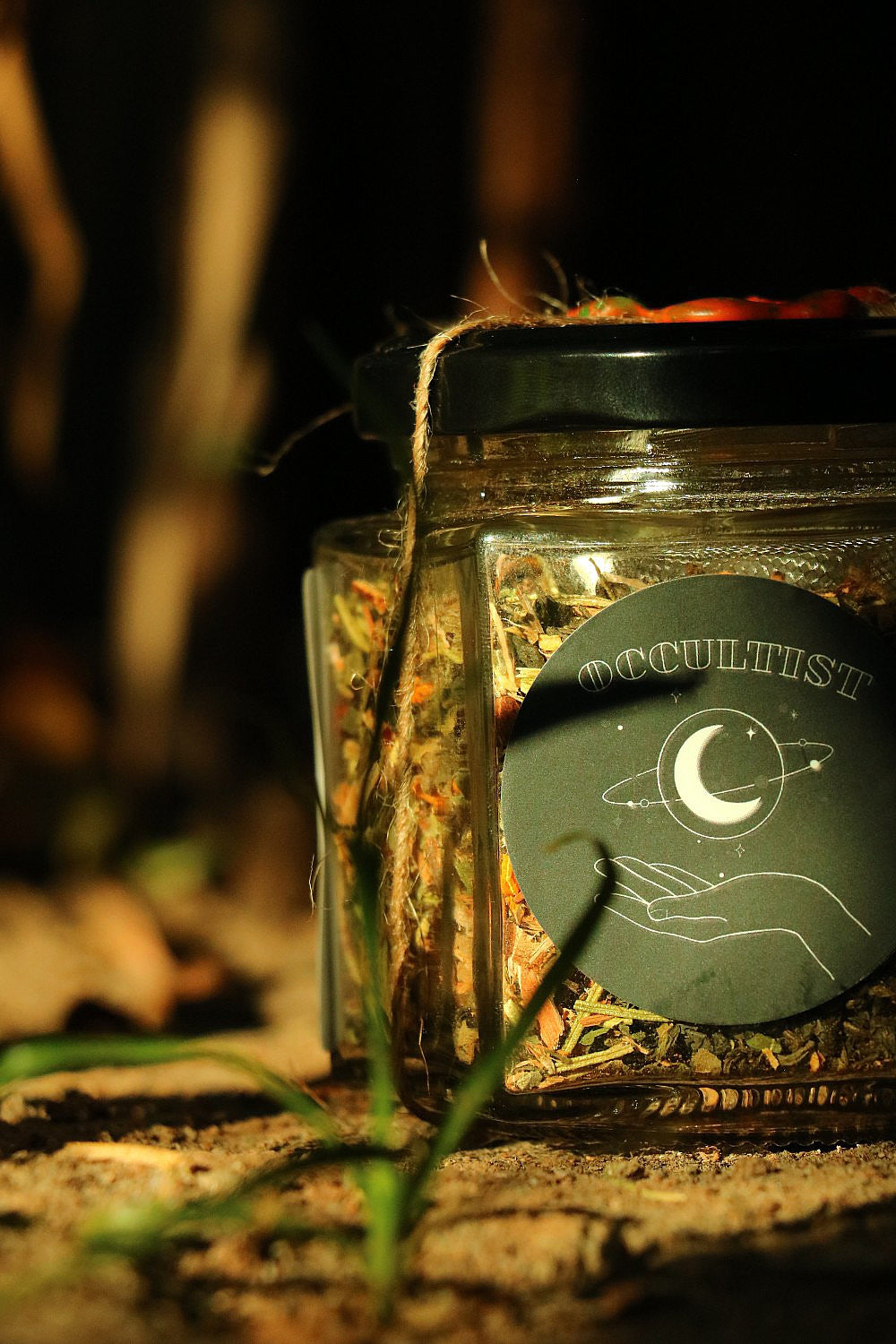 Lion's Mane Spiced Black Tea
